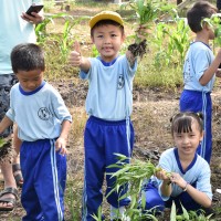 Outdoor Study Agrowisata SCW Kelas 1- Feb 2020